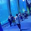 駅前のとまと