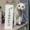 ちぽり