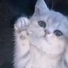 Hii–ro