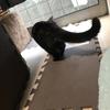 Naruruko