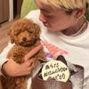 本部新太