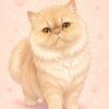 MAKOTO猫の手サポート