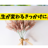 モカ❤️