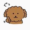 user
