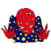 kuppa555