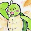 どんがめ