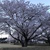 鈴木愛