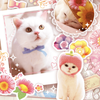lucy_smilejp