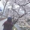 bts_jk
