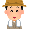 まぼ東京