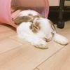 みづき113
