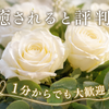 キャサリン心の保健室（生粋の日本人です）