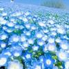 Blue blue sky
