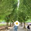癒しボイス☘️ゆうのまったりトークルーム