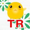 TR_design