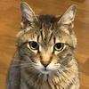 タフうつ病経験者