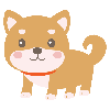 わんとぷ