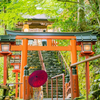 波動修正【月詠 ことの】高次元ヒーラー