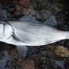 釣りで大切な事をお教えします