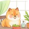 Yacco _