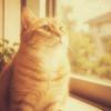 mizuki_photo_art