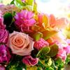 きよらママ