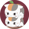toytoyfox