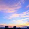 夕凪。