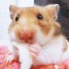§みおみお§