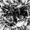 ねこポプラ