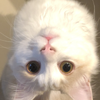 笑えもん