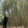 背負いすぎた心の荷物の整理屋 綿さん