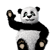 saito_Dev