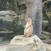 てん。。。