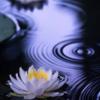 ラテマル