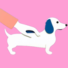 Maru Dog