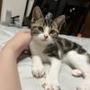 彩〜note運用代行〜
