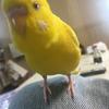 37さな