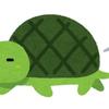 ひよこ33
