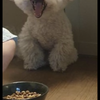 ぼよん