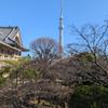 波動修整・ヒーリング