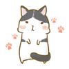 cat_tail_studio