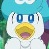 user