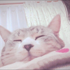 pichan22