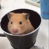 すけあっとあーりー