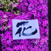 フリースタイルShoDo書道