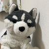 Miichan06