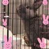 Ibunn