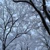 雪2023