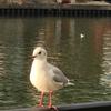 Satoshi_777